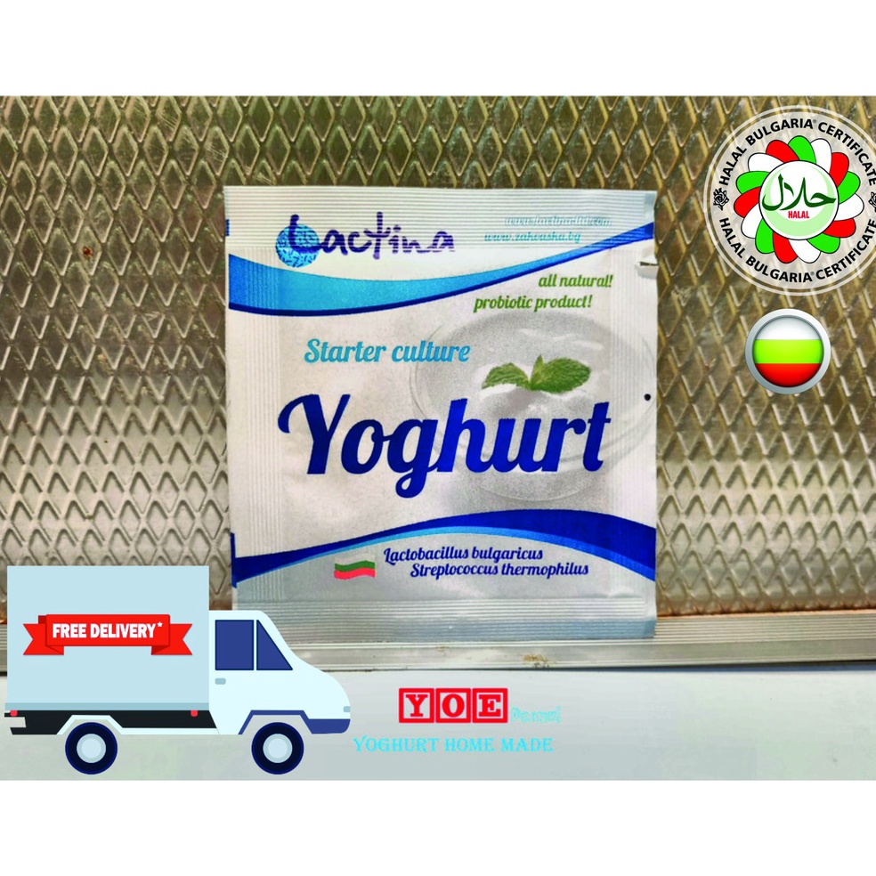 

3l Baru Bibit yogurt Lactobacillus made from bulgaria GOGO Order