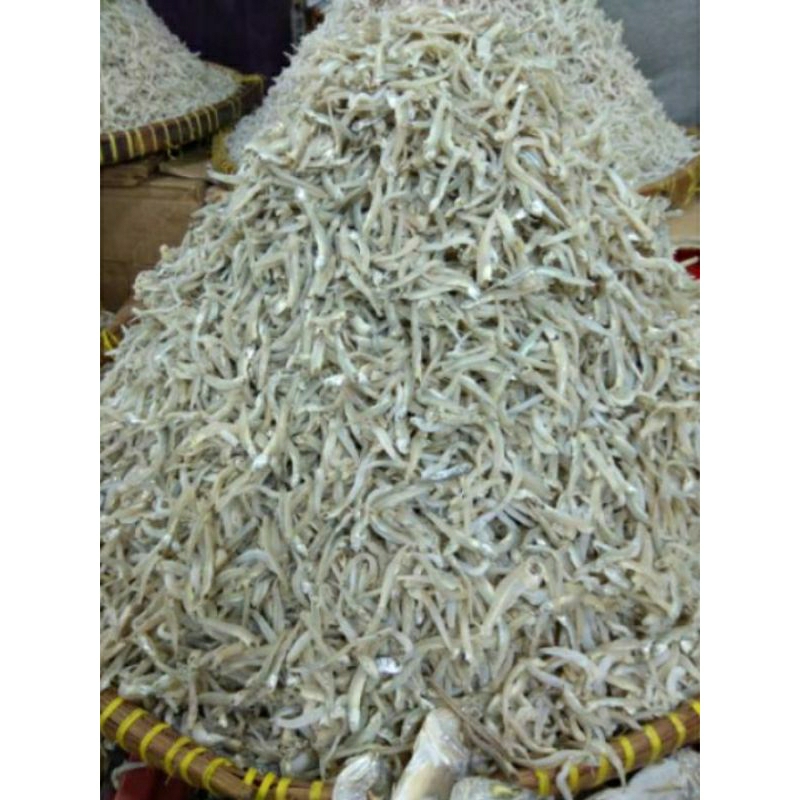 

teri butiau medan fresh