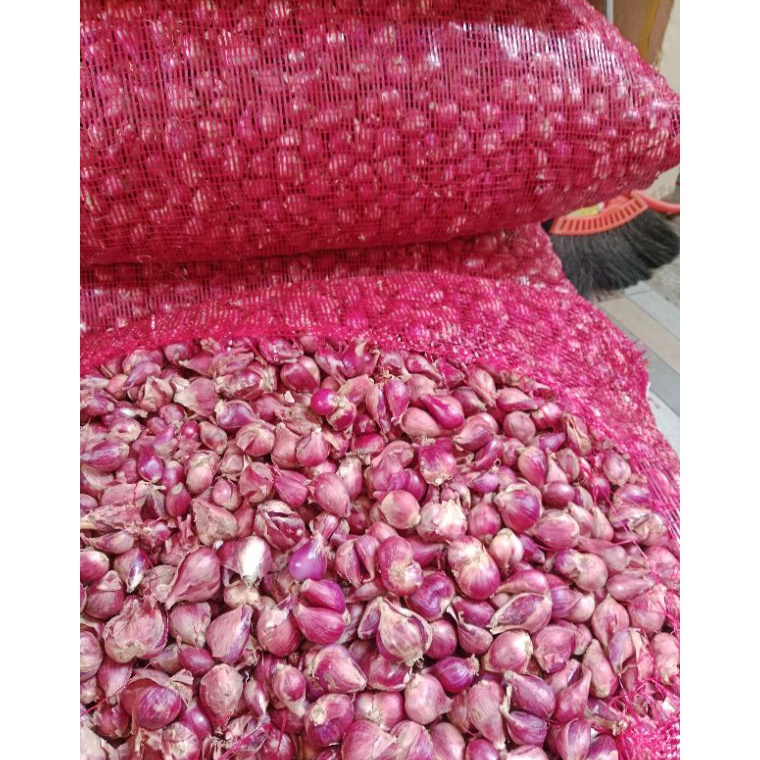 

[COD RV35] bawang merah brebes ukuran sedang 1 kg 91