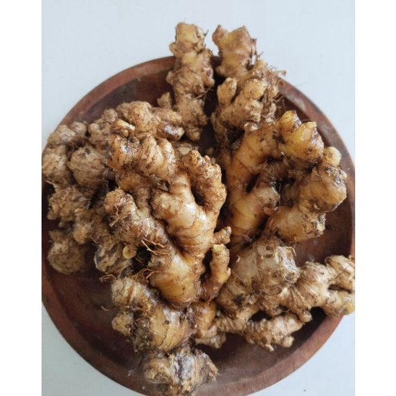 

Laris➷ JAHE EMPRIT 1kg Ready