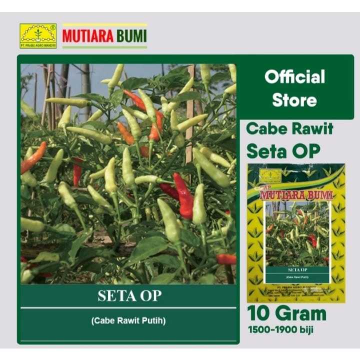 benih cabe rawit seta super/mutiara bumi 10 gram