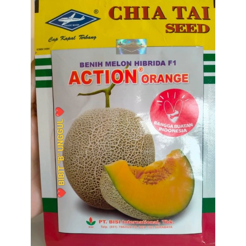 Benih Melon F1 Action Orange (550 biji)
