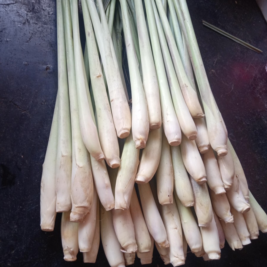 

serei sayur / sereh sayur 100gram bumbu masak