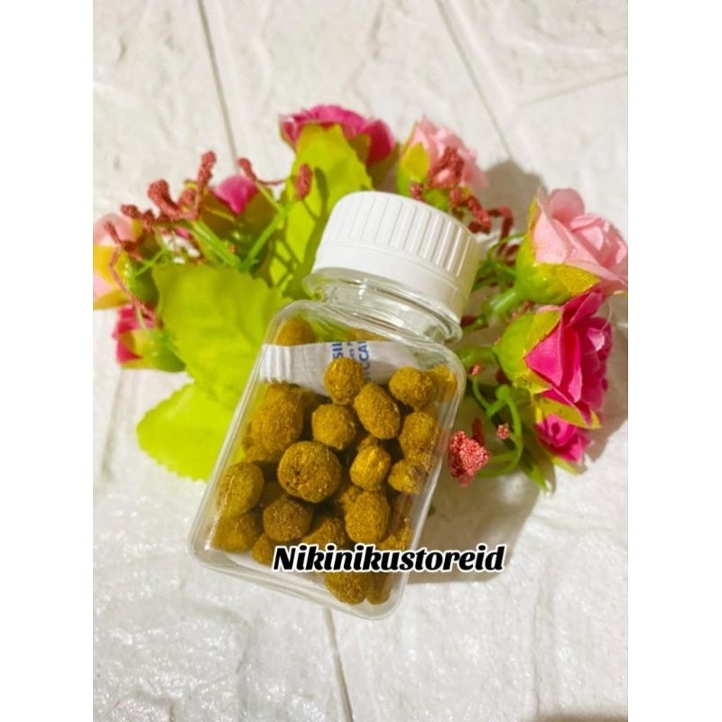 Pil Montok Payudara Herbal