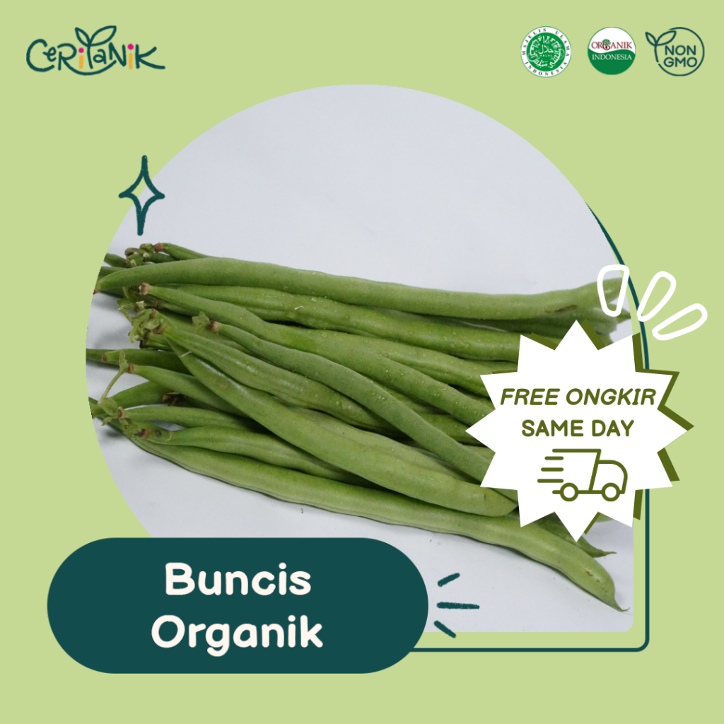 

Buncis Organik 250 gram - Ceritanik - Chickpeas Organic - Sayur Organik Murah - Sayur Organik Sehat - Sayur Organik Premium