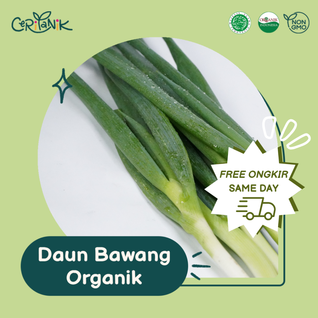 

Daun Bawang Organik 200 gram - Ceritanik - Green Onion Organic - Sayur Organik Murah - Sayur Organik Sehat - Sayur Organik Premium