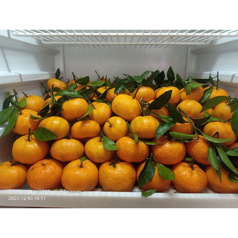 

JERUK SANTANG DAUN TANPA BIJI