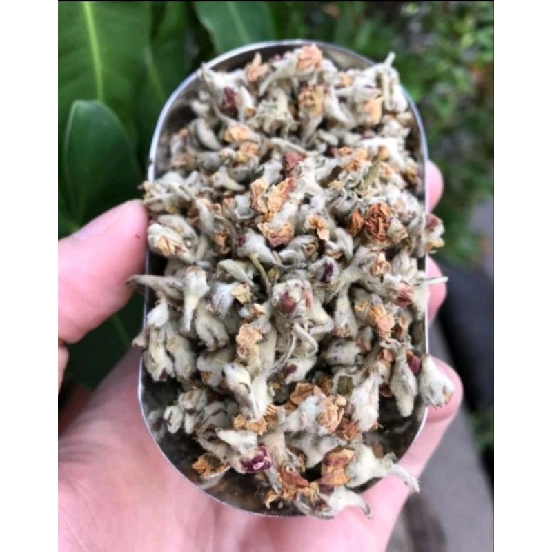 

Teh Bunga Apel Apple Blossom 50gr Pouch