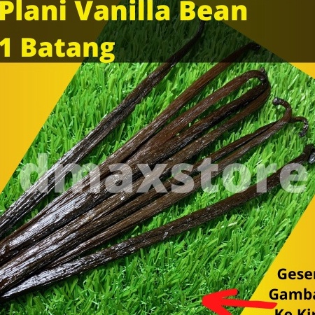 

[KODE PRODUK YYWND3562] Vanilla Bean Grade A Gourmet 3 gr 17 - 20 cm