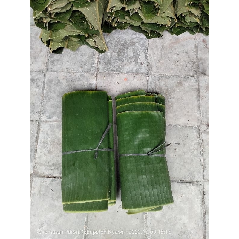 

Daun pisang segar dipetik saat dipesan