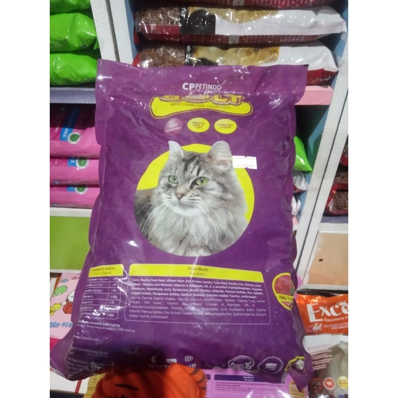 bolt ungu pakan kucing bentuk ikan 800