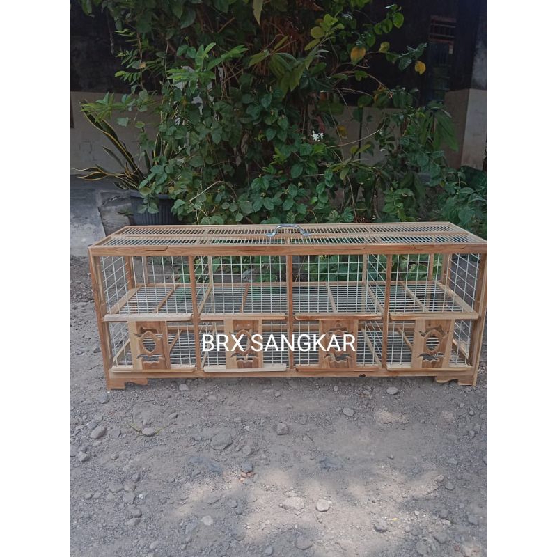 Sangkrip merpati//dongdang merpati 8pintu//8plong belom dirangkai//ambrukan