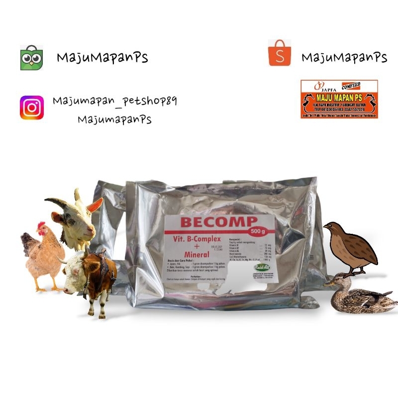Becomp Serbuk 500gr - Vitamin B komplek + Vitamin