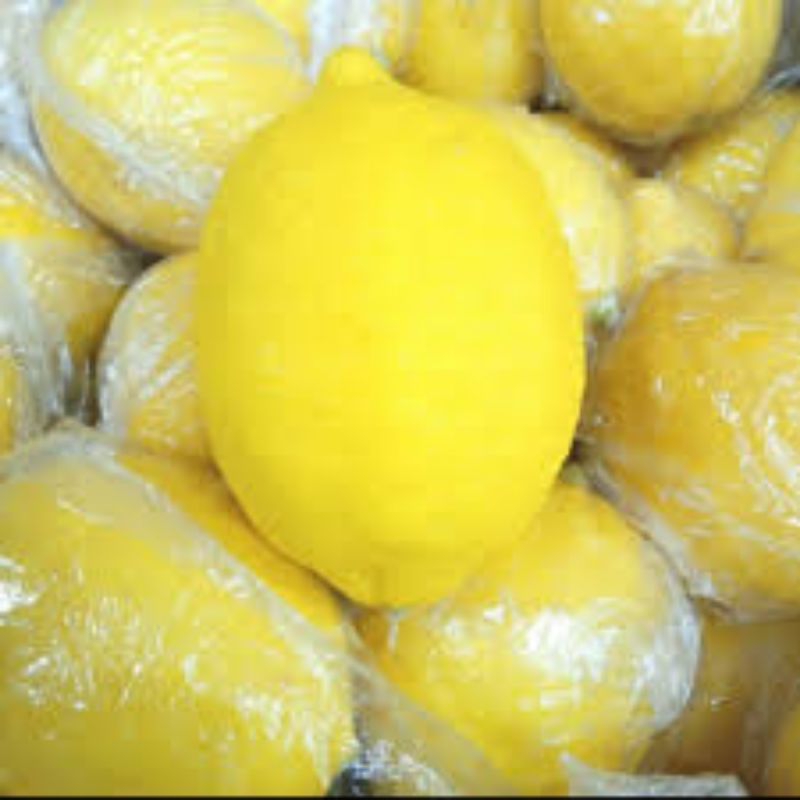 

lemon impor fresh