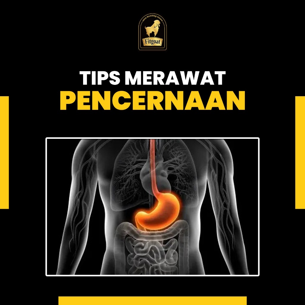 

Rahasia pencernaan sehat : Tips merawat dengan Susu Kambing Fitgoat.