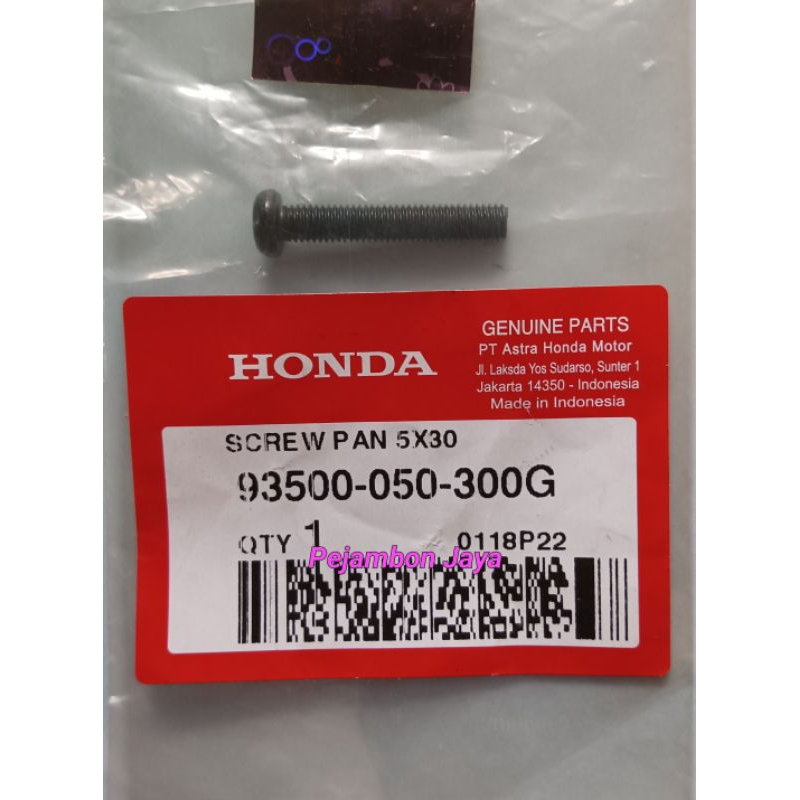 93500050300G SCREW PAN 5X30
