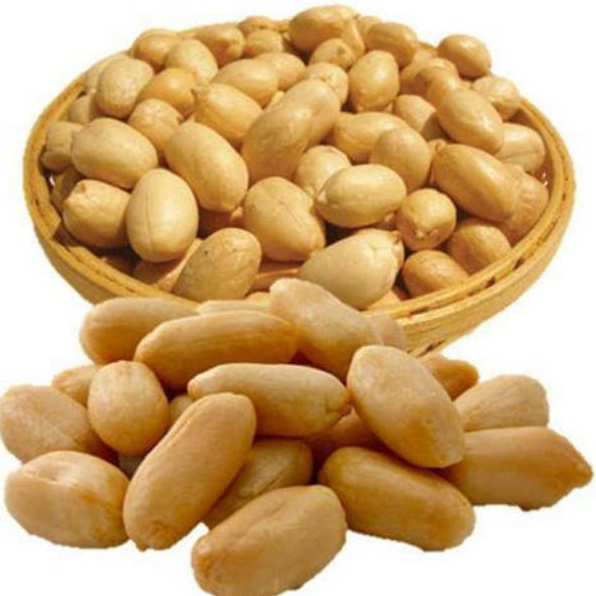 

Hot Sale Kacang Panggang 500 Gram - Kacang Bawang Oven - Roasted Peanuts -1/2KG