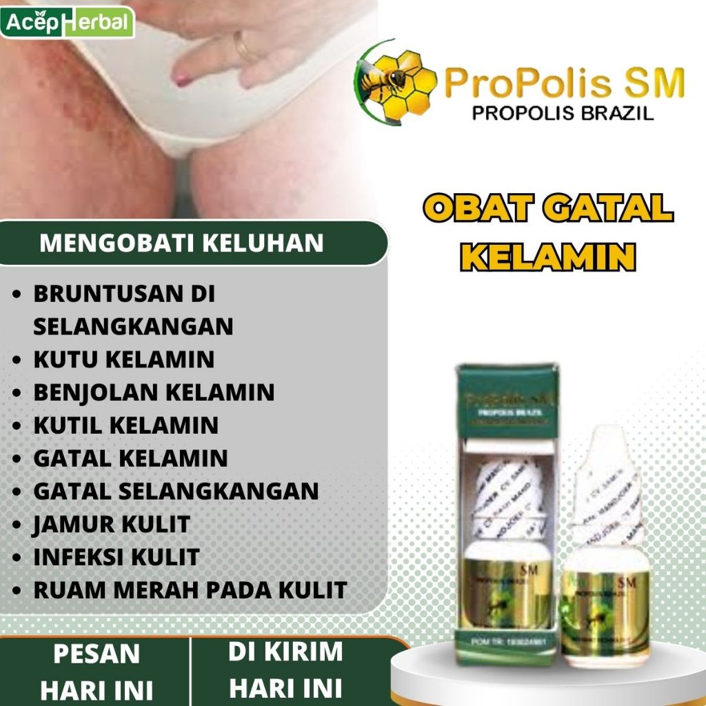 Obat Gatal Kelamin Gatal Selangkangan Gatal Parah Jamur Kulit Infeksi Kulit Kutu Kelamin Benjolan Ke