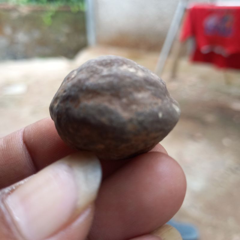 Muncang Adu  Mayit Jawa (MJ) Ori Bahan special ukuran medium dan pasangan mewah