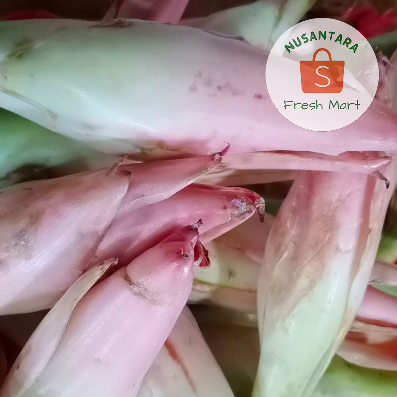 

Bunga Kecombrang 500 gram / Kencong / Combrang