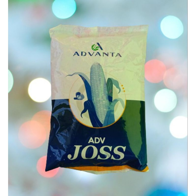 Benih Jagung Hibrida Advanta ADV JOSS