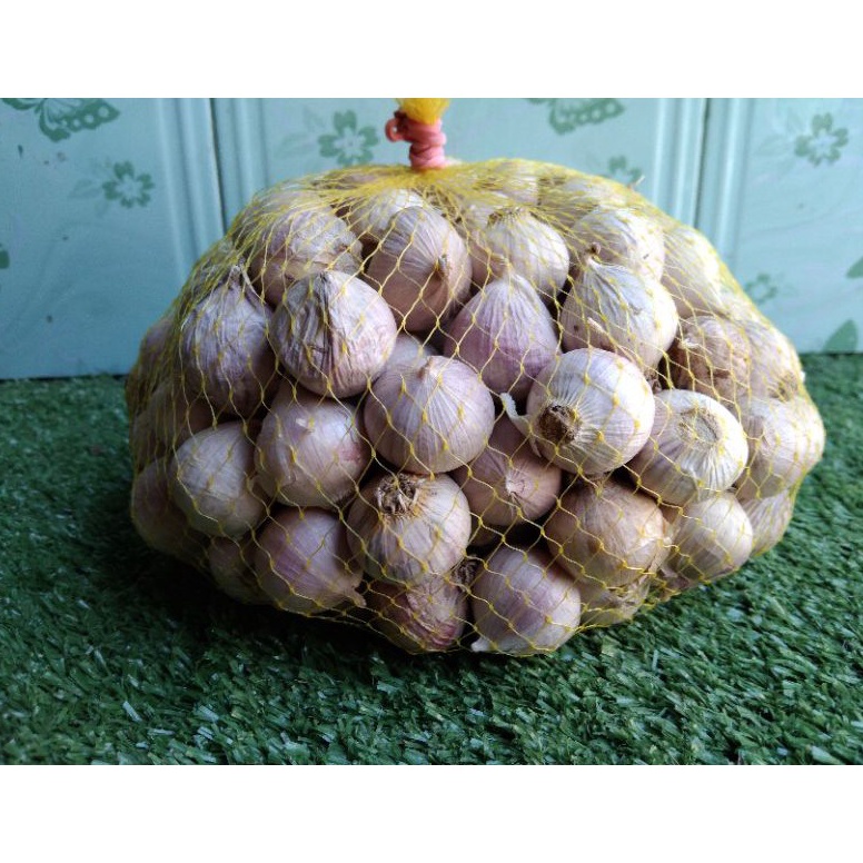 

Q7GB9 Bawang Putih Tunggal ukuran Besar ( 1 kg) 990u0