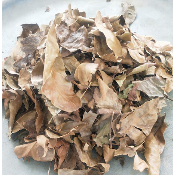 

Daun Mahoni KERING herbal Alami