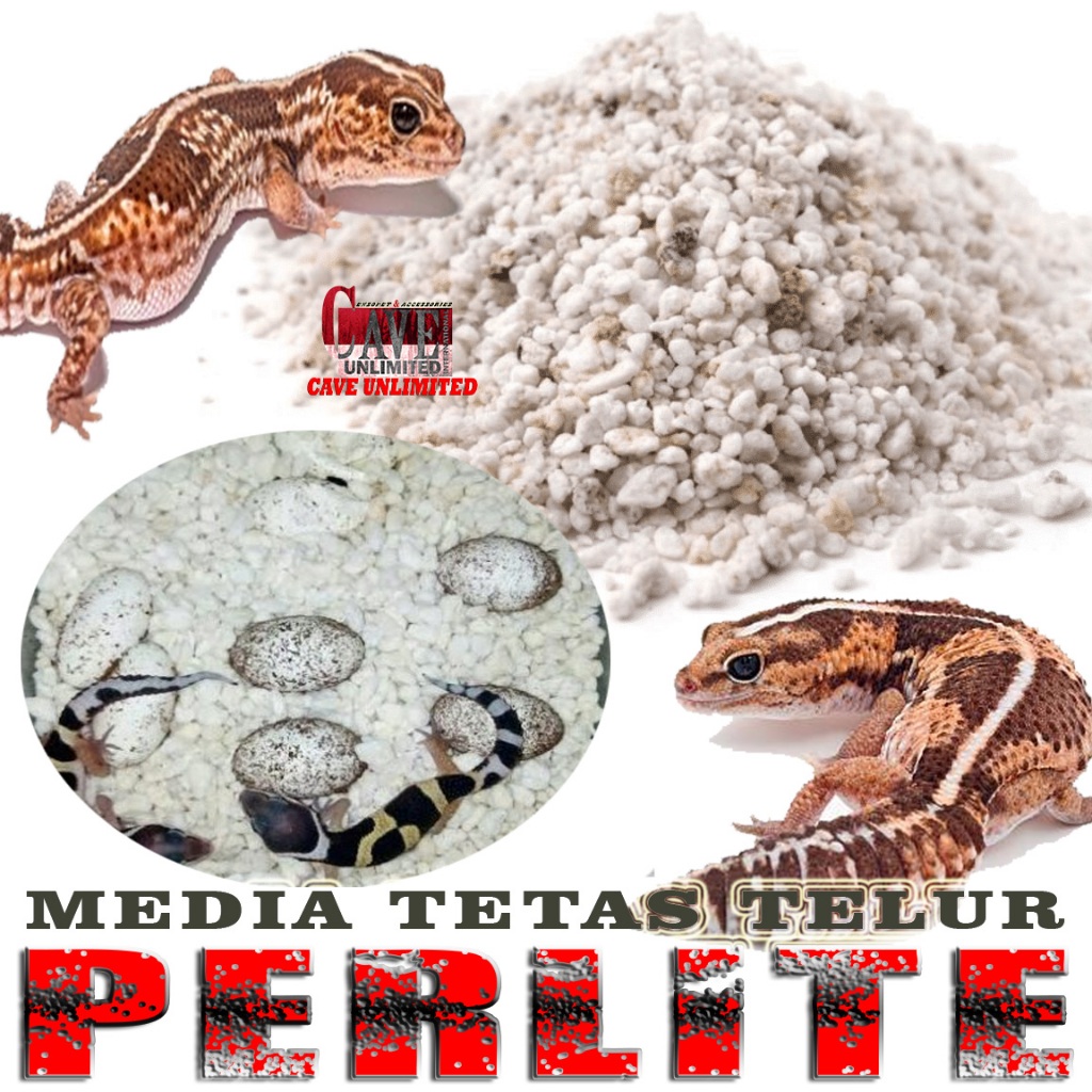 PERLIT PERLITE INCUBASI TELUR REPTILE LEOPARD GECKO BEARDED DRAGON KADAL KURA TORTOISE SULCATA PARDA