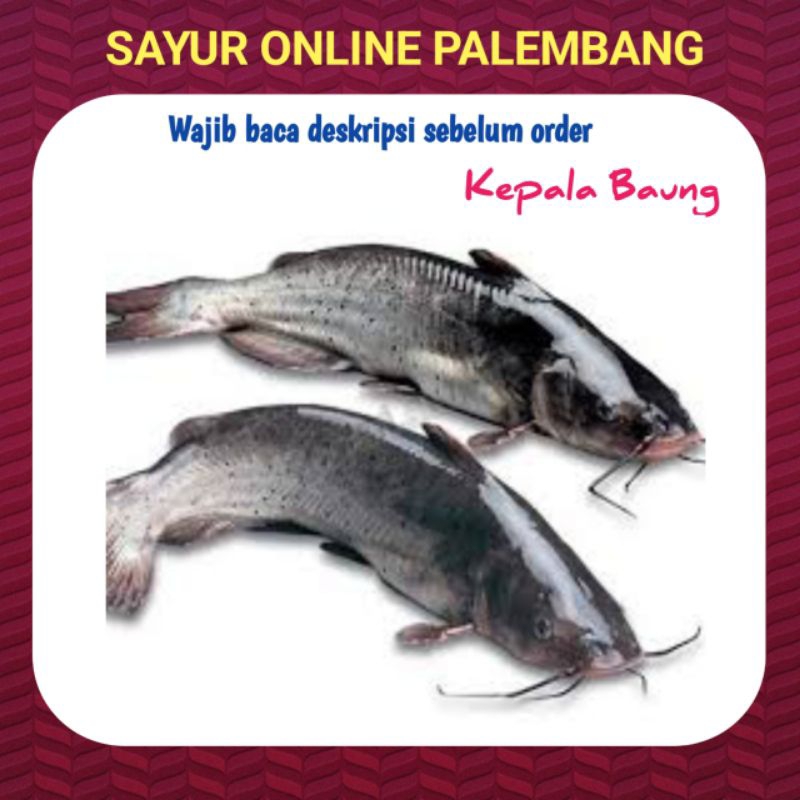 

Kepala Ikan Baung Laut 1kg - Sayur Ikan online Palembang