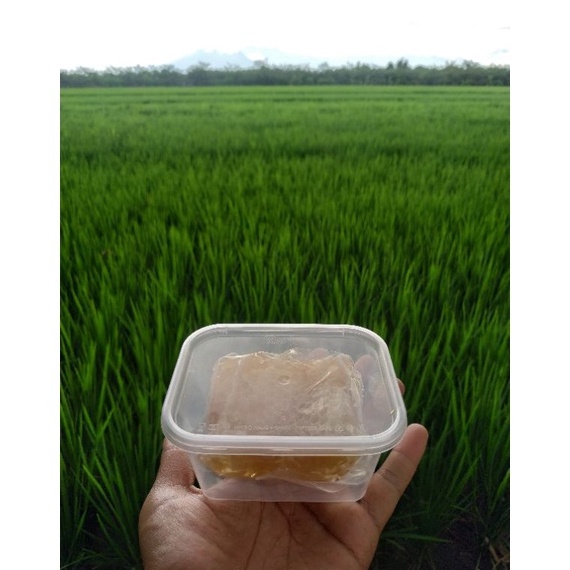 

64 Madu sarang apis melifera madu asli HONEYCOMB berat 100 gram FREE BOX DUS PACKING ➢Harga Obral