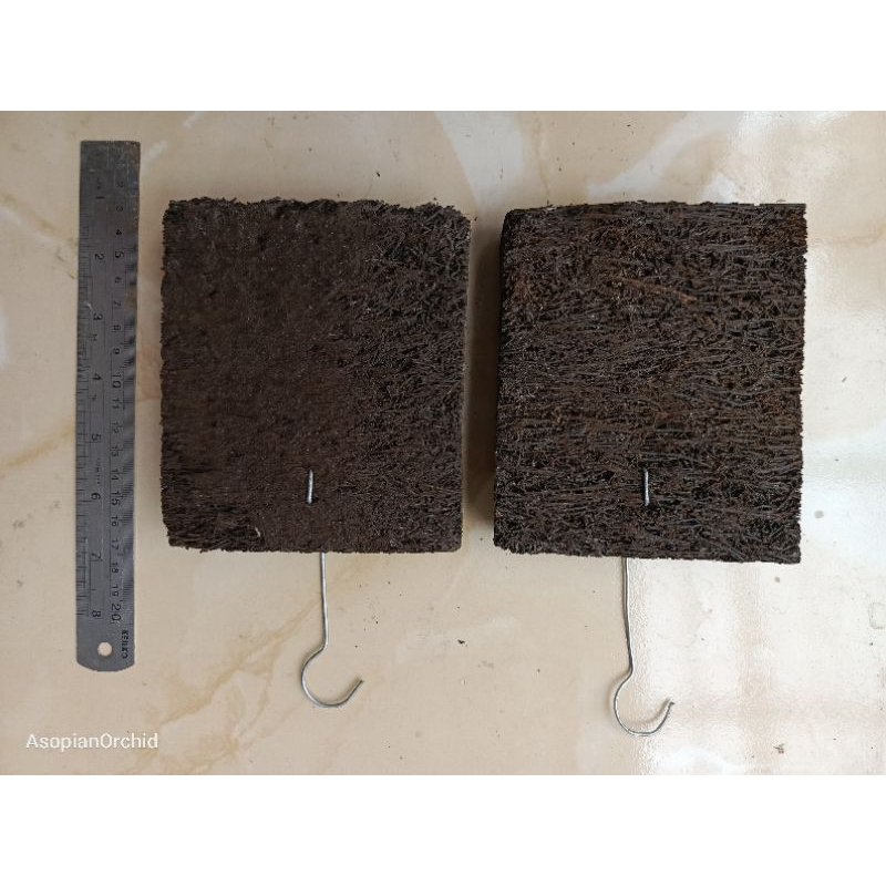 Media Anggrek / Papan Pakis /