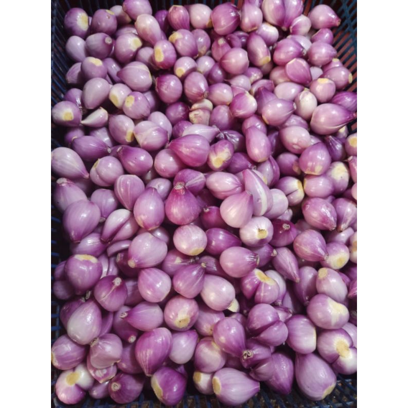 

Bawang Merah Kupas - 250 Gr