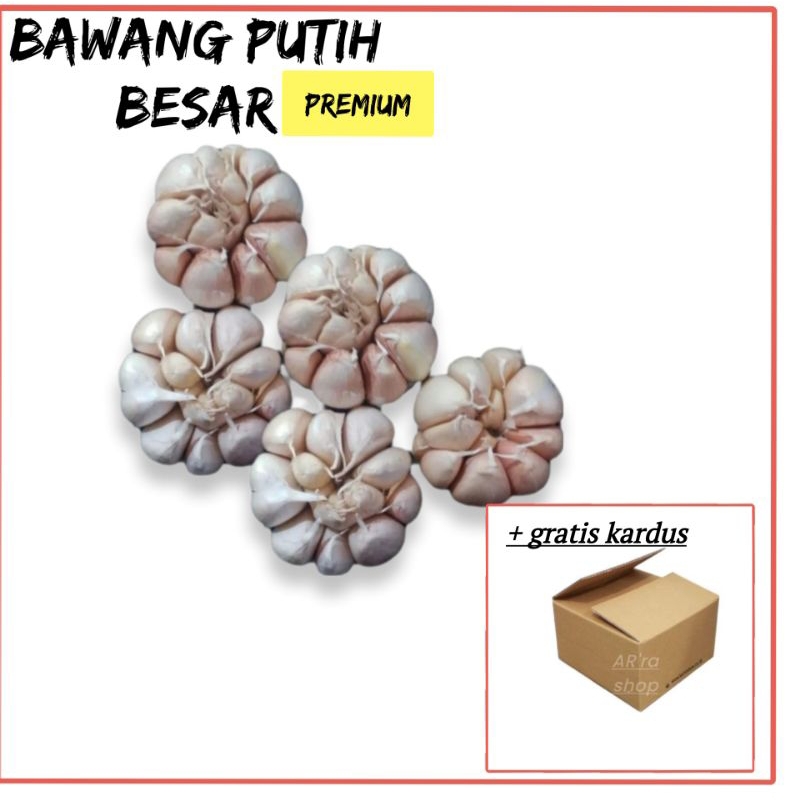

bawang putih besar premium 1 kg best seller