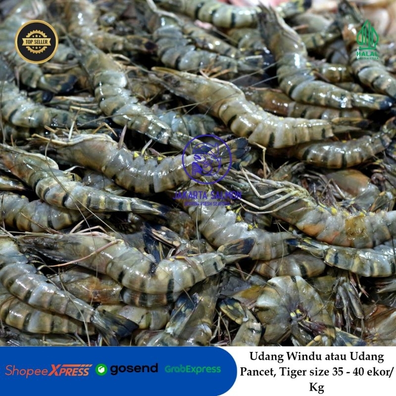 

Udang Segar/ Udang Windu/ Udang Pancet/ Udang Tiger Segar Size 30