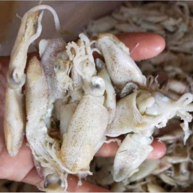 

BABY CUMI / CUMI ASIN 250 GRAM