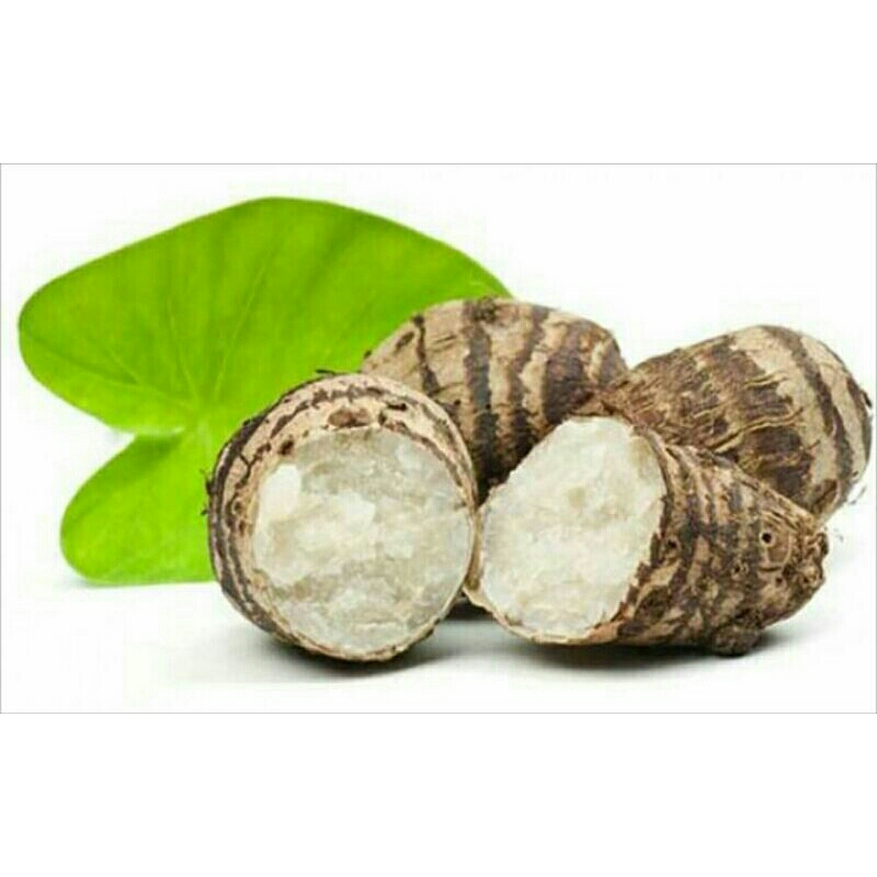 

umbi talas 1kg