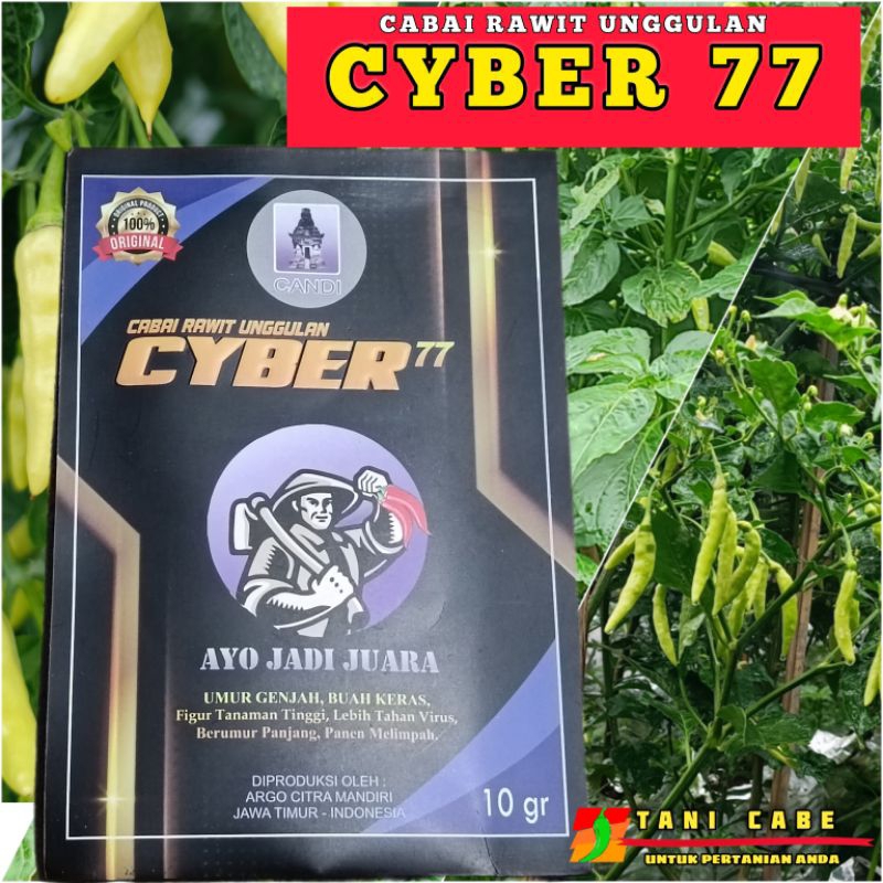 CABAI RAWIT  CYBER 77 KEMASAN 10 GRM