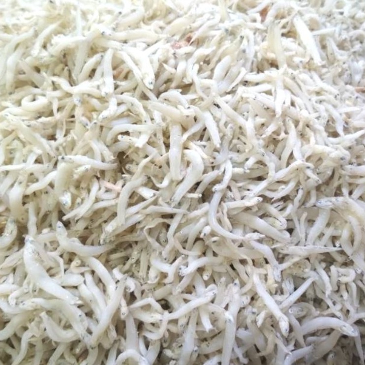 

Grosir 100 gram Ikan Asin Teri Medan Teri Nasi Segar Murah Model #Terbaru )人(