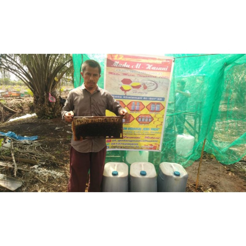 

Madu khataman Al-Qur'an Al -hasani 100% murni