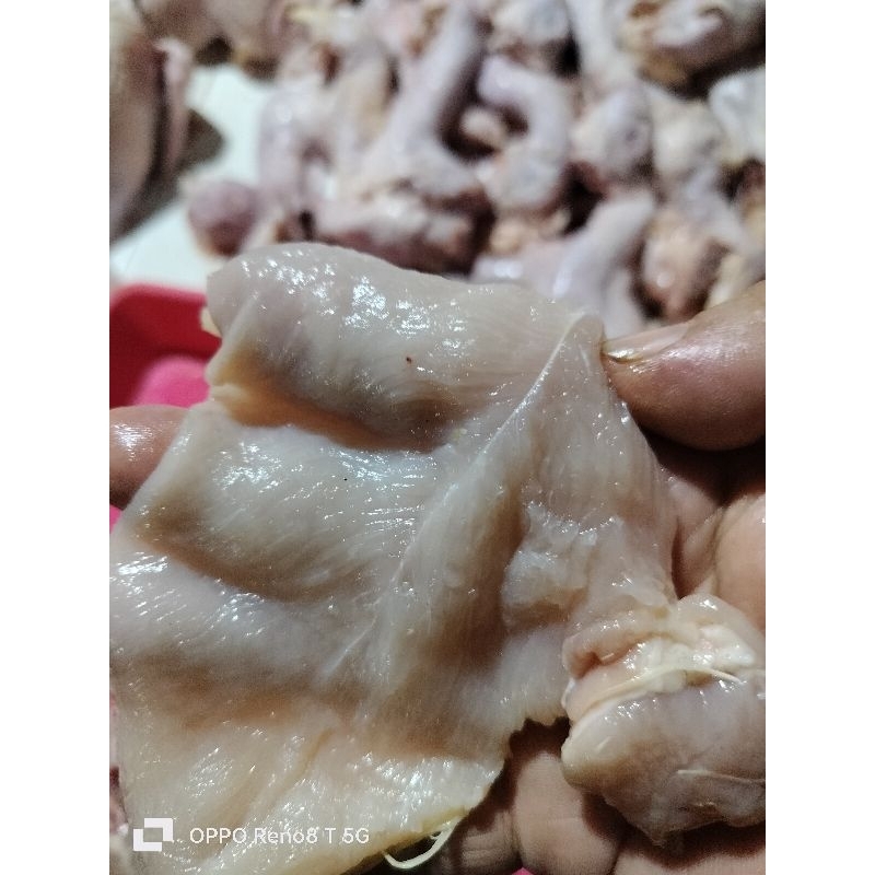 

daging ayam potong katsu 500gr