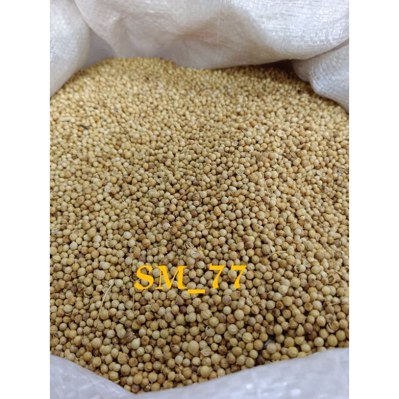

Ketumbar Putih | ketumbar | ketumbar 500gr | Ketumbar 250gr | Ketumbar 100gr