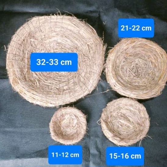 SARANG JERAMI AYAM PETARANGAN AYAM BERTELUR ANGKREM SUSUH TELUR AYAM