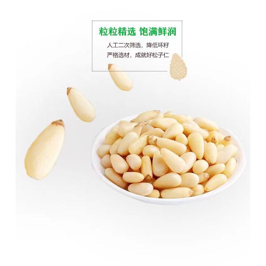 

RB Raw Pine nut / Kacang pinus mentah 100 gr