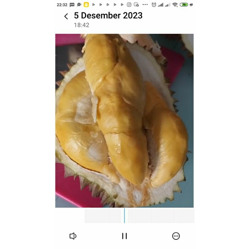 

Durian Bawor Jatuhan