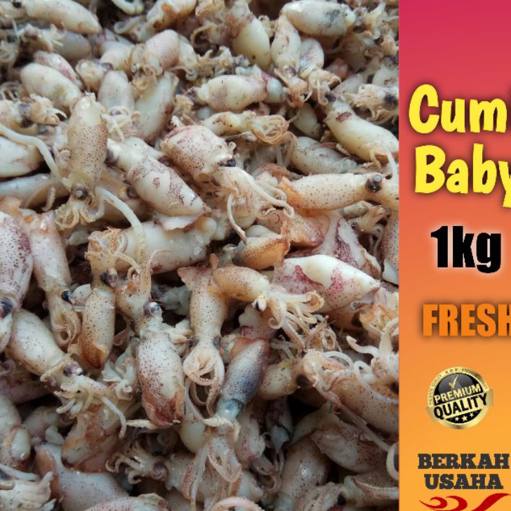 

modelTipe LPC181 BABY CUMI ASIN REBUS FRESH size 1-2cm,2-3cm,3-4cm Per 1kg IKAN ASIN MURAH GROSIR SOTONG KECIL BEBI CUMI ASIN KECIL