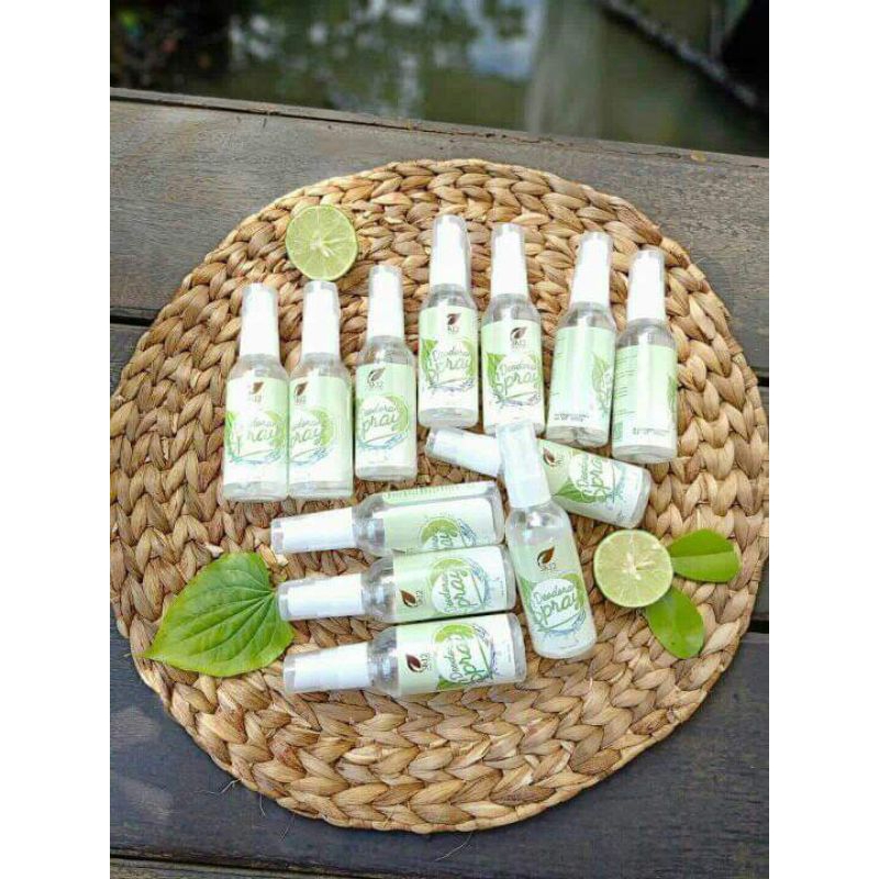 Deodorant spray S12