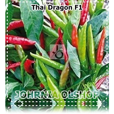 Johrnia 5 Benih Biji PEPPER Thai Dragon F1
