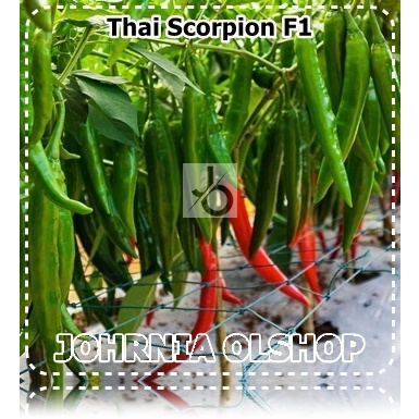 Johrnia 5 Benih Biji PEPPER Thai Scorpion F1