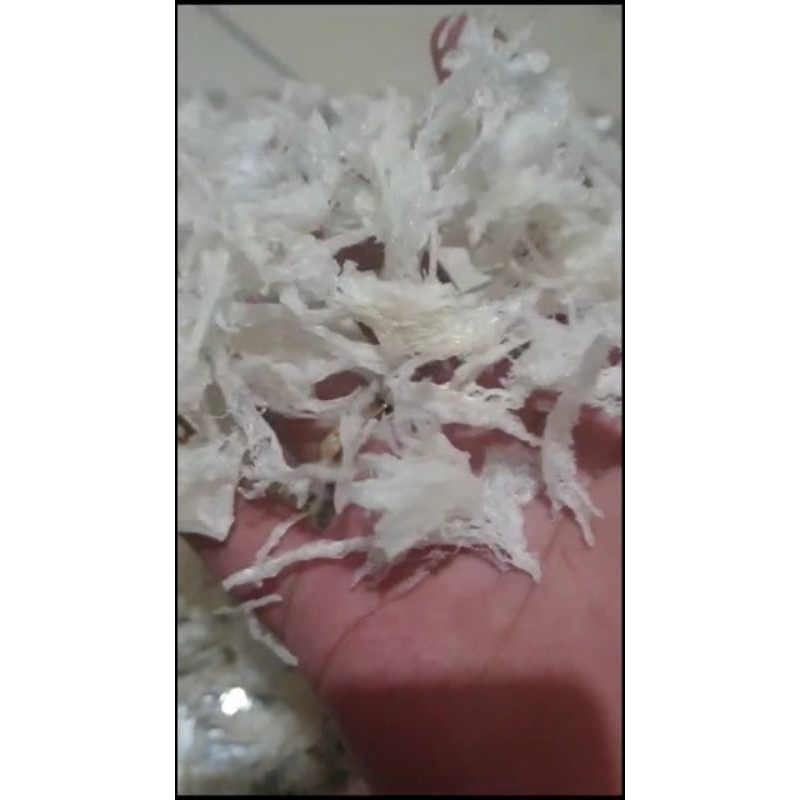 

Sarang walet Bersih 5gr per pack(patahan kecil)