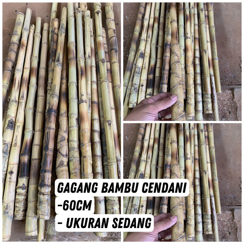BAMBU CENDANI 60cm | GAGANG JORAN PANCING BAMBU CENDANI